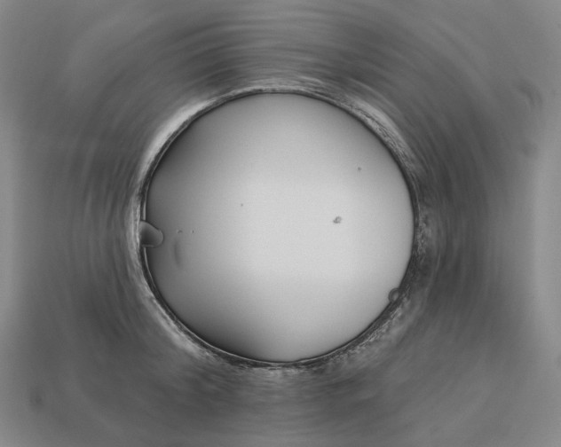 X0000112940804200909071053