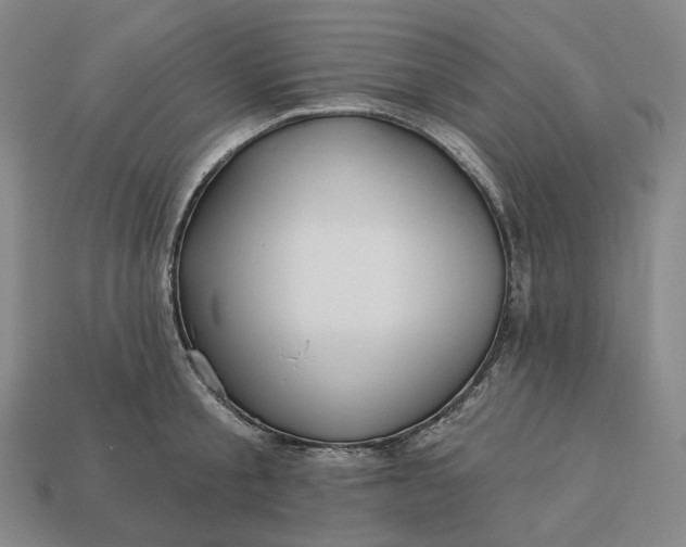 X0000112940805200909071053