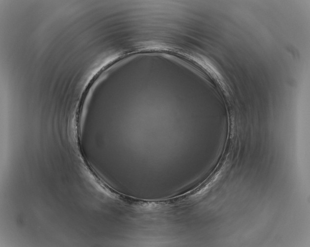 X0000112940806200909071053