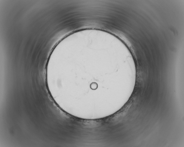 X0000112940807200909071053