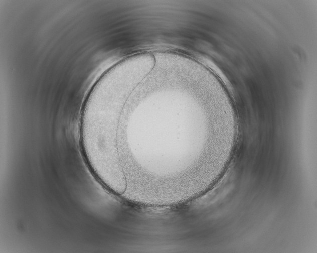 X0000112940810200909071053