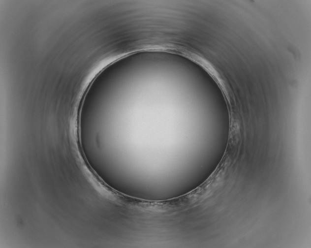 X0000112940811200909071053