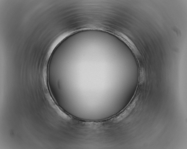 X0000112940812200909071053