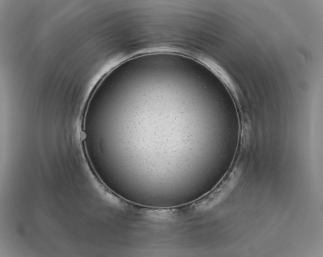 X0000112940813200909071053