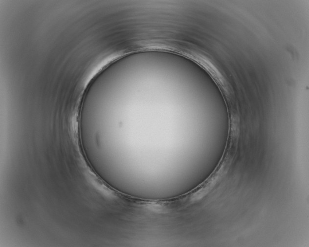 X0000112940814200909071053