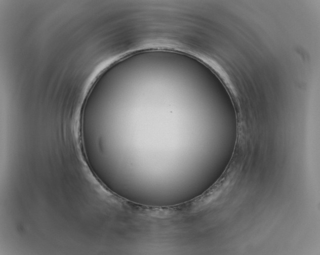 X0000112940815200909071053