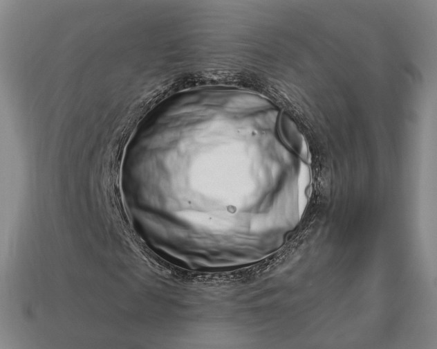 X0000112940817200909071052