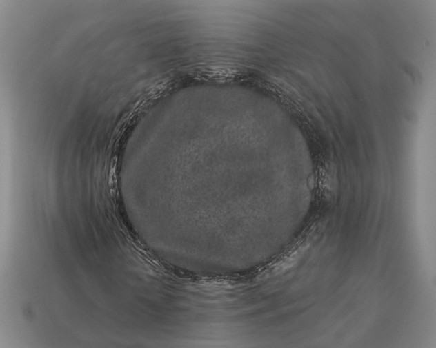 X0000112940818200909071052