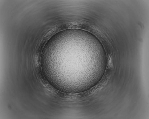 X0000112940819200909071052