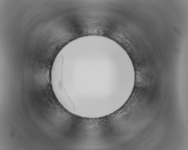 X0000112940820200909071052