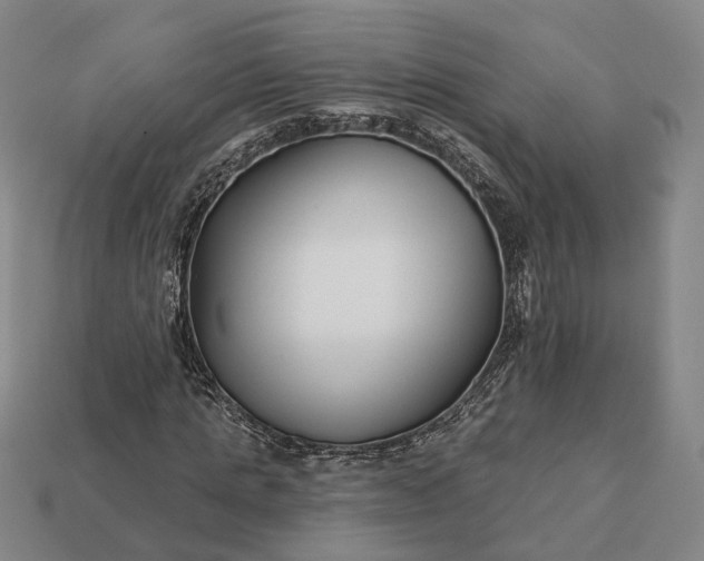 X0000112940821200909071052