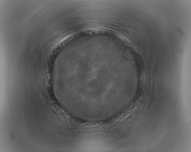 X0000112940822200909071052