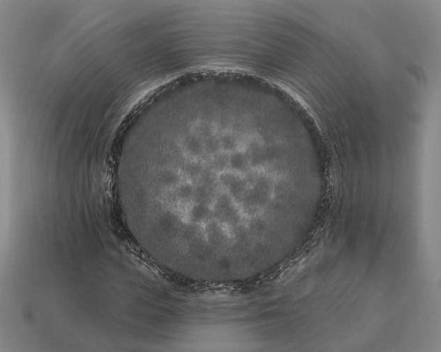 X0000112940823200909071052