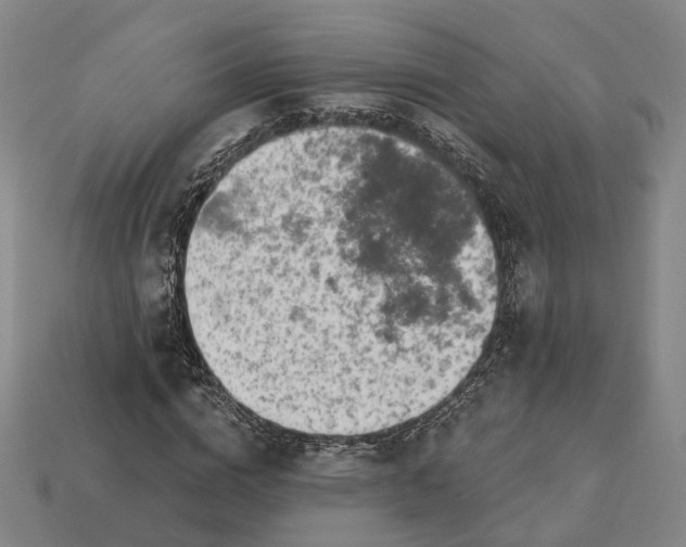 X0000112940824200909071052