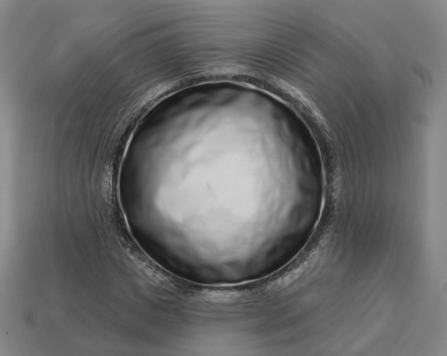 X0000112940825200909071052