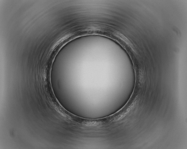 X0000112940826200909071052