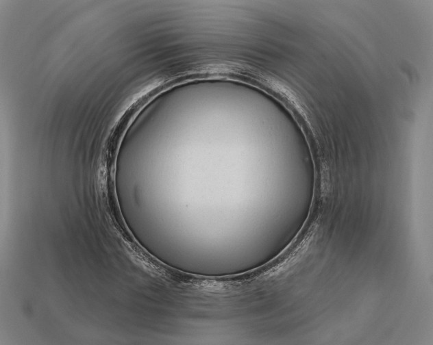 X0000112940827200909071052