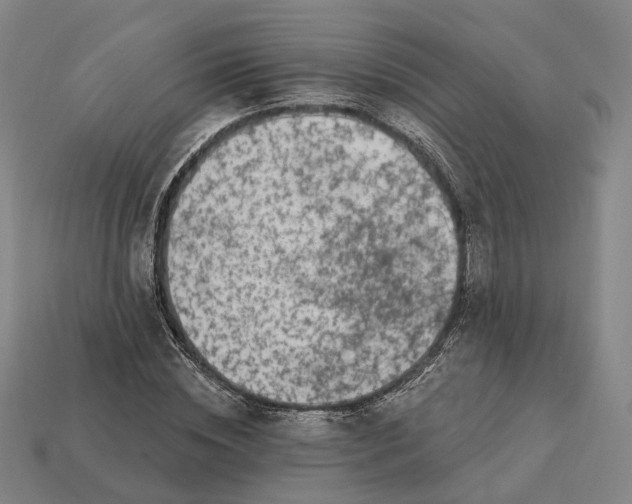 X0000112940828200909071052