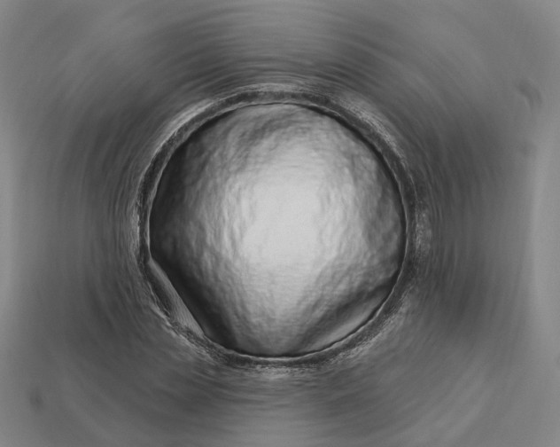 X0000112940829200909071052