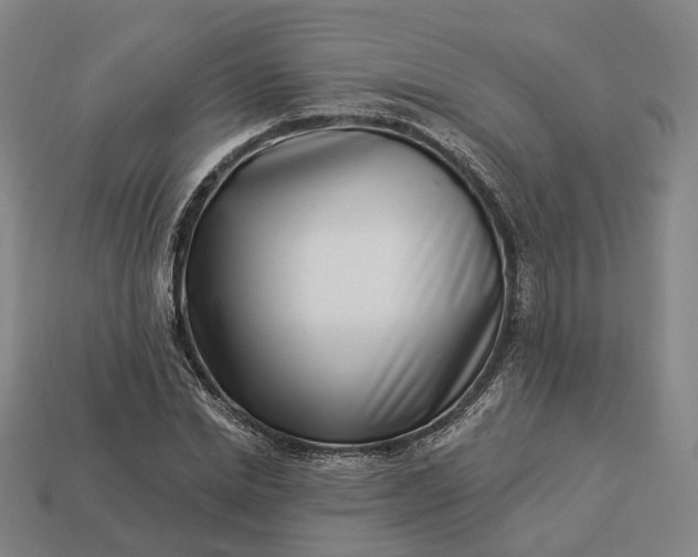 X0000112940830200909071052