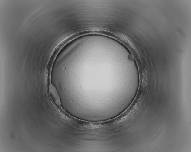 X0000112940831200909071052