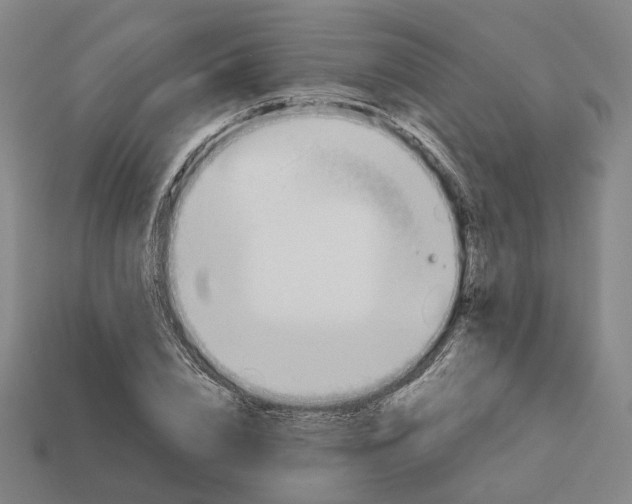 X0000112940832200909071053