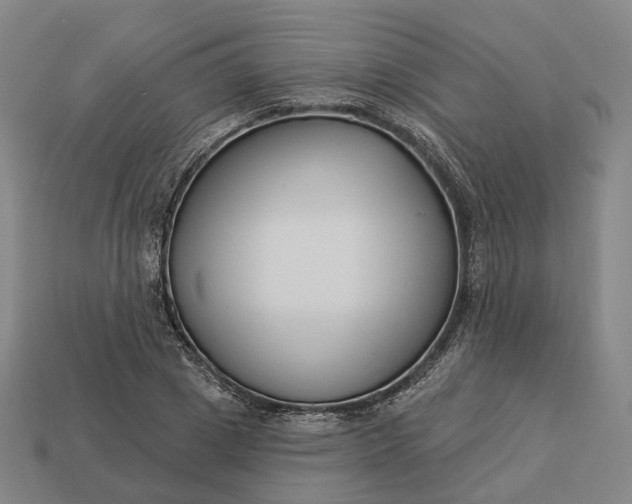 X0000112940833200909071053