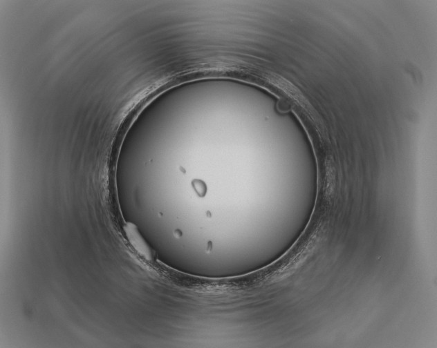 X0000112940834200909071053