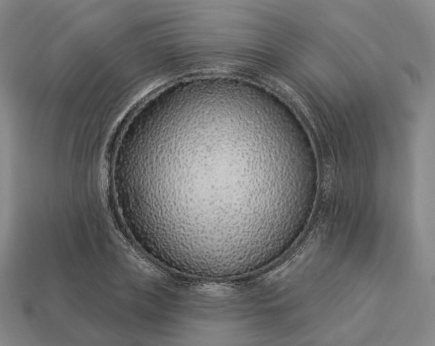 X0000112940835200909071053