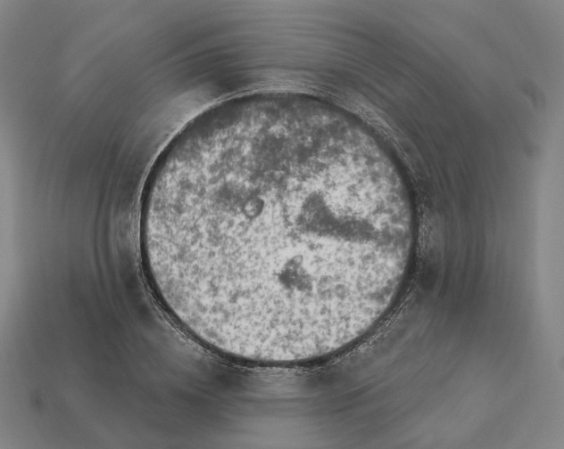 X0000112940836200909071053