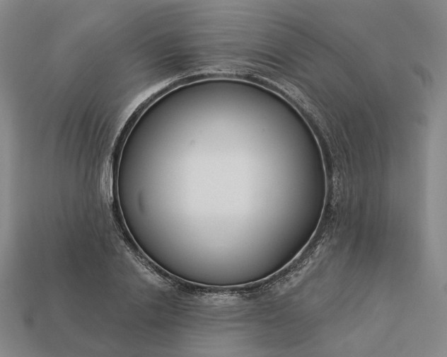 X0000112940838200909071053