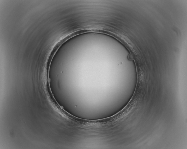 X0000112940840200909071053