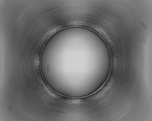 X0000112940841200909071053