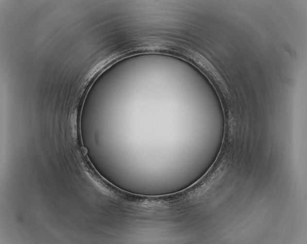 X0000112940842200909071053