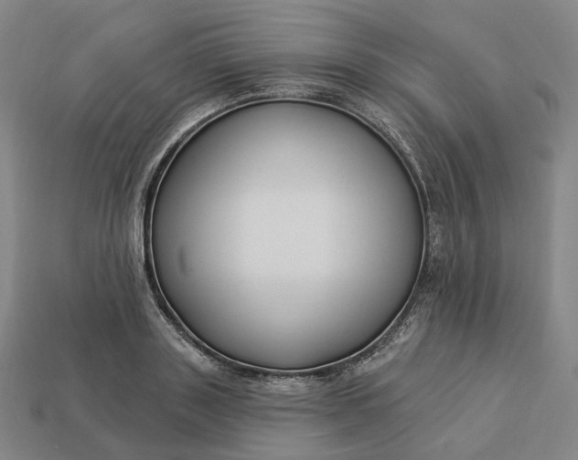 X0000112940843200909071053