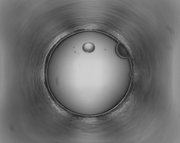 X0000112940845200909071053