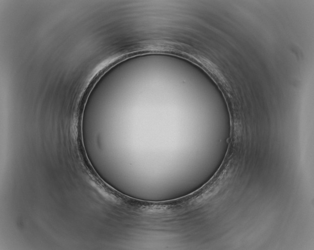 X0000112940846200909071053