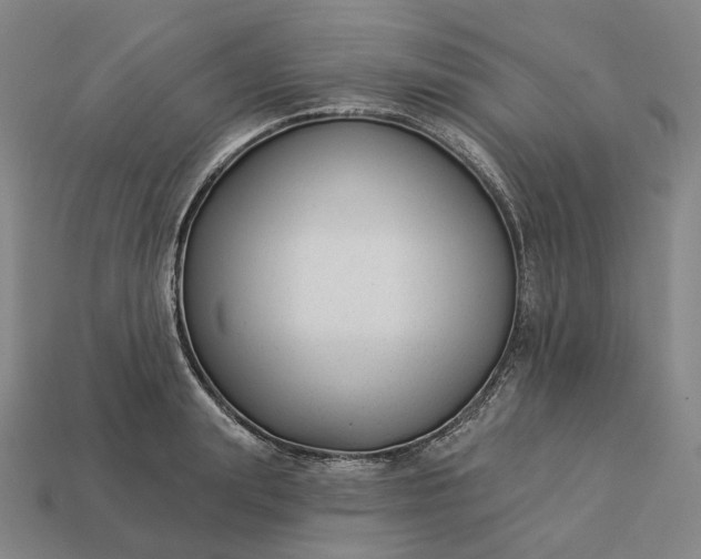 X0000112940847200909071053