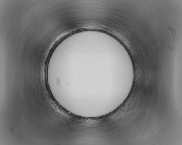 X0000112940848200909071053