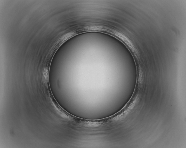 X0000112940849200909071053