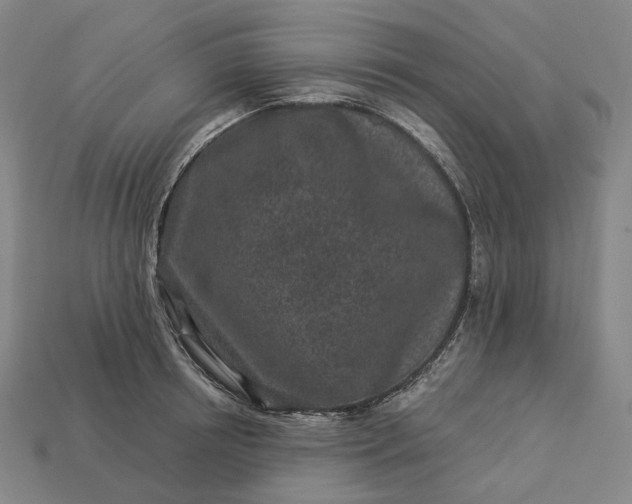 X0000112940850200909071053