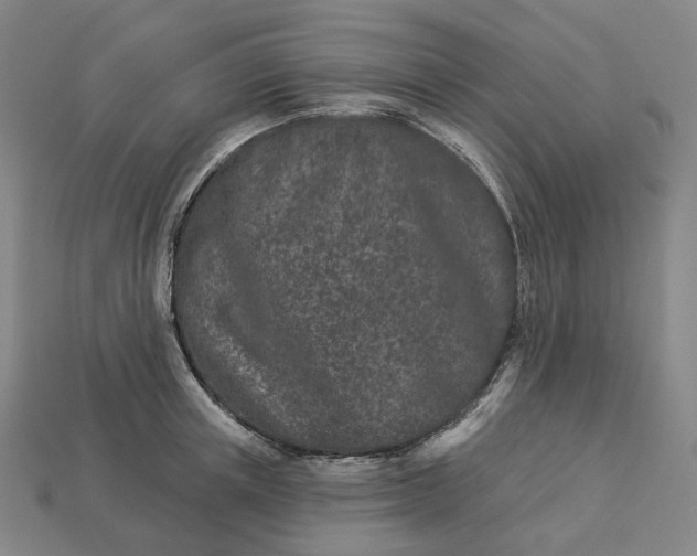 X0000112940851200909071053