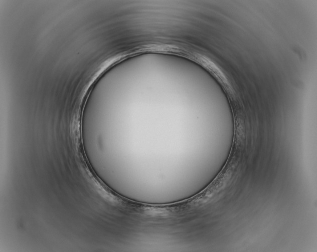 X0000112940852200909071053