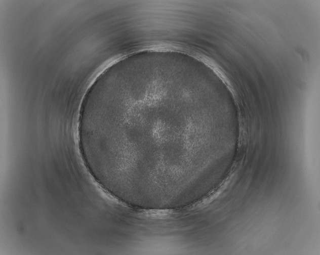 X0000112940853200909071053