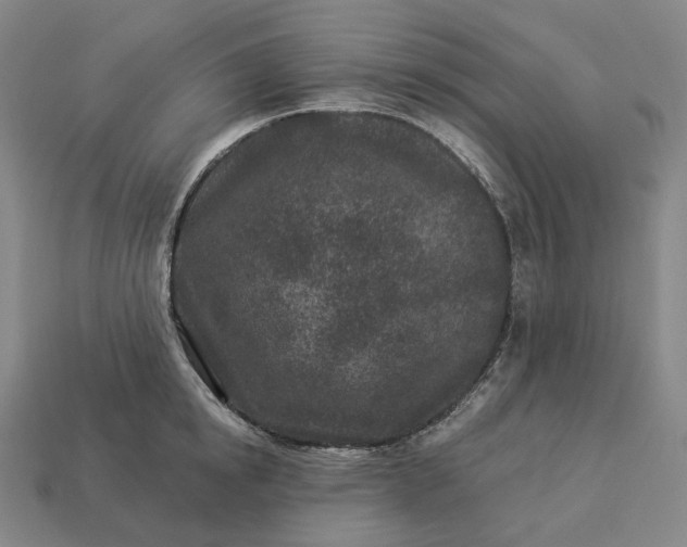 X0000112940854200909071053