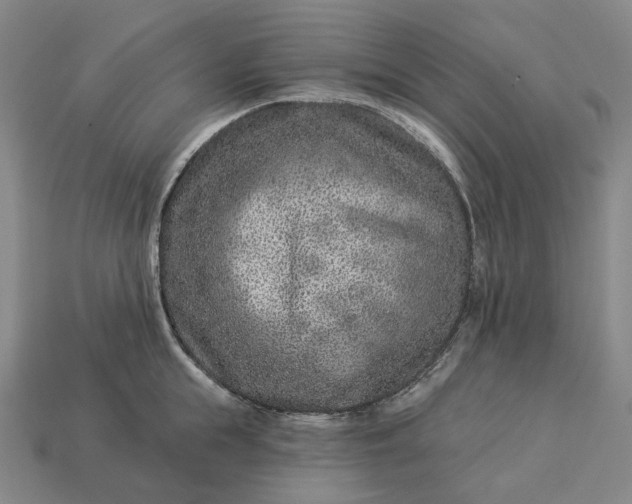 X0000112940855200909071053