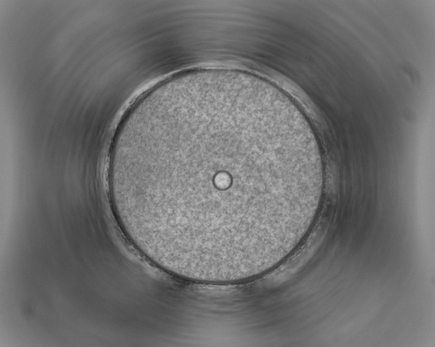 X0000112940856200909071053