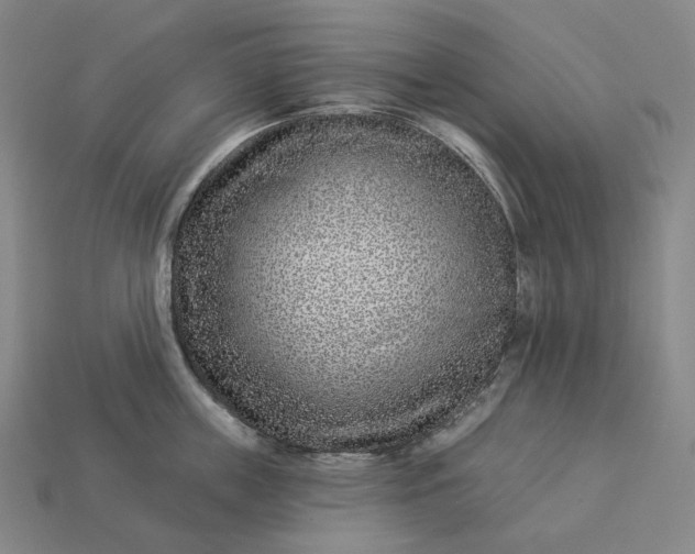 X0000112940859200909071053