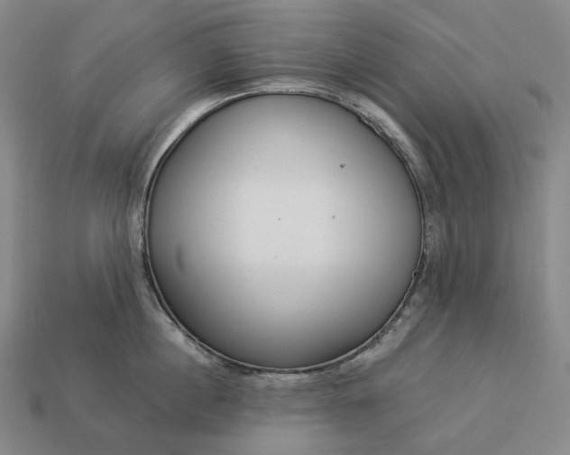 X0000112940860200909071053