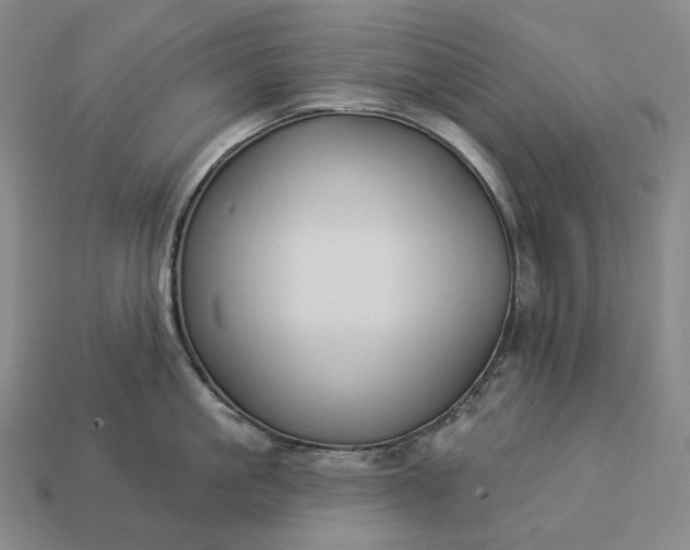 X0000112940861200909071053